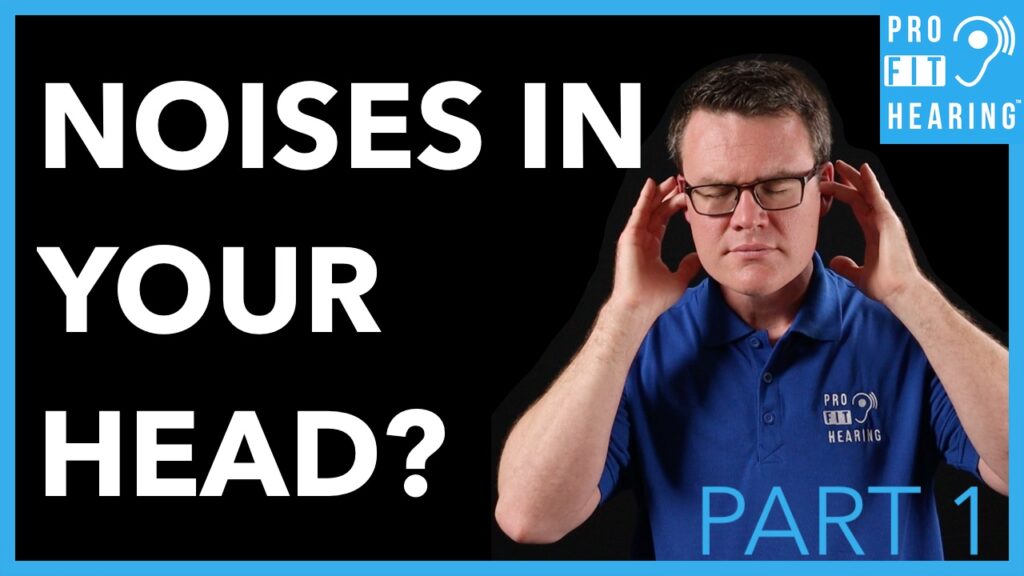 What Causes Noises in Your Head (Part 1)